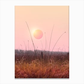 Minimal Sunset In The Forest Canvas Print