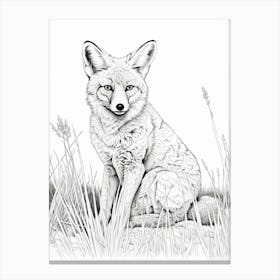 Swift Fox Line Drawing 3 Canvas Print
