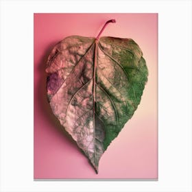 Heart Shaped Leaf Canvas Print