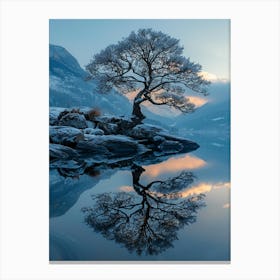 Lone Tree 12 Canvas Print