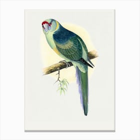 Parrot On A Branch Canvas Print