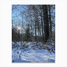 Snowy Woods 4 Canvas Print