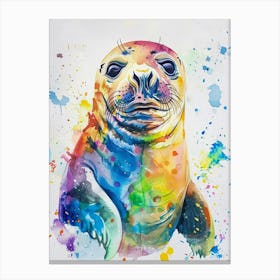 Elephant Seal Colourful Watercolour 4 Canvas Print