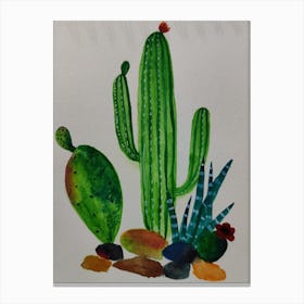 Cactus Painting Canvas Print