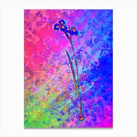 Vieusseuxia Glaucopis Botanical in Acid Neon Pink Green and Blue n.0087 Canvas Print
