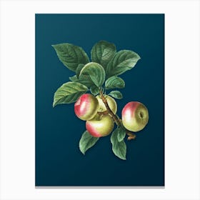 Vintage Apple Botanical Art on Teal Blue n.0589 Canvas Print