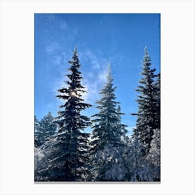 Frosted Pine Trees Glistening Under A Bright Winter Sun Their Branches Heavy With Freshly Fallen Sn (4) Leinwandbild