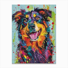Australian Shepherd Dog  Acrylic Painting 12 Canvas Print