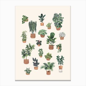 Plants Collection 4 Canvas Print