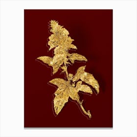 Vintage Tree Mallow Botanical in Gold on Red n.0502 Canvas Print