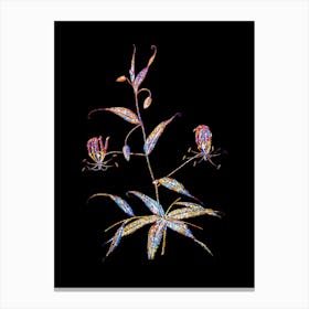 Stained Glass Flame Lily Mosaic Botanical Illustration on Black n.0053 Canvas Print