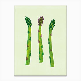 Asparagus Canvas Print