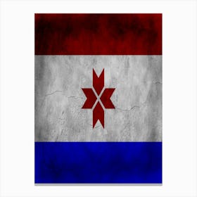 Mordovia Flag Texture Canvas Print