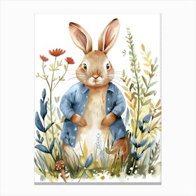 Rabbit In Blue Shirt Canvas Print