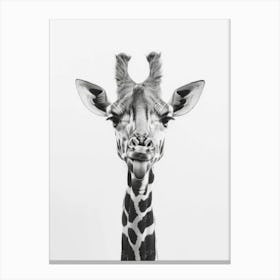 Giraffe Portrait 1 Canvas Print