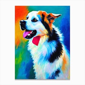 American Eskimo Dog Fauvist Style dog Canvas Print