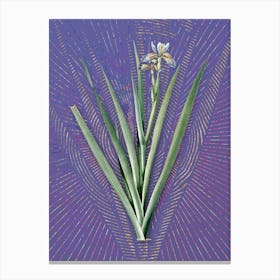 Vintage Stinking Iris Botanical Illustration on Veri Peri n.0433 Canvas Print