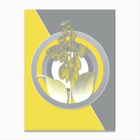 Vintage Blue Daylily Botanical Geometric Art in Yellow and Gray n.473 Canvas Print