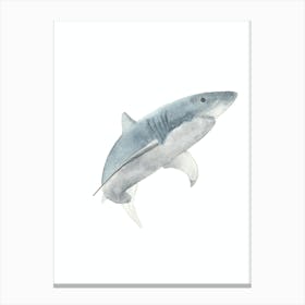 Shark Canvas Print