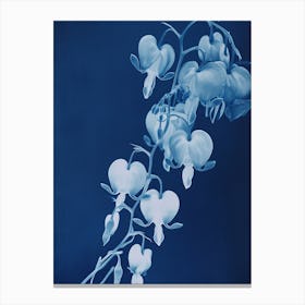 Bleeding Hearts VI Canvas Print