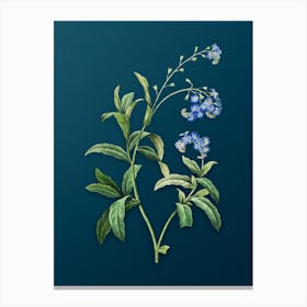 Vintage Water Forget Me Not Botanical Art on Teal Blue n.0675 Canvas Print