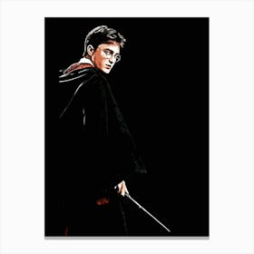 Harry Potter 2 Canvas Print