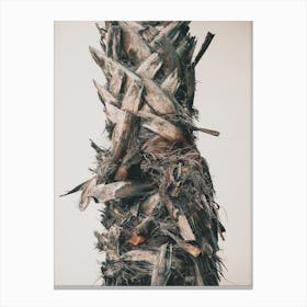 Palm Tree Trunk Canvas Print