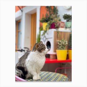 cute cat Canvas Print