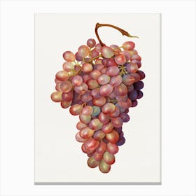 Bunch Of Grapes Canvas Print