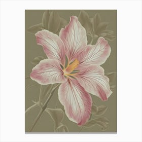 Pink Hibiscus Canvas Print Canvas Print