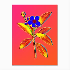 Neon Loblolly Bay Botanical in Hot Pink and Electric Blue n.0376 Canvas Print