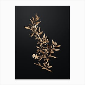 Gold Botanical Goji Berry Branch on Wrought Iron Black n.1216 Canvas Print