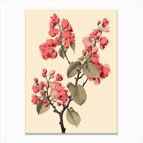 Yama Zakura Mountain Cherry 1 Vintage Japanese Botanical Canvas Print