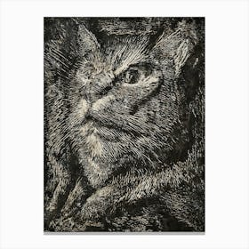 Cat By Person Canvas Print