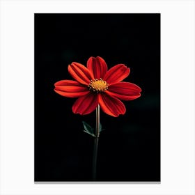 Red Flower 3 Canvas Print