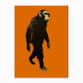 Chimpanzee Canvas Print