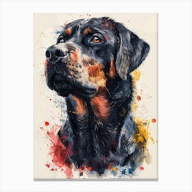 Rottweiler 1 Canvas Print