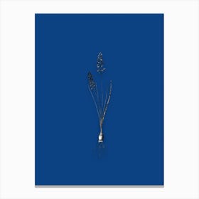 Vintage Autumn Squill Black and White Gold Leaf Floral Art on Midnight Blue n.0672 Canvas Print