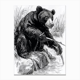 Malayan Sun Bear Fishing A Stream Ink Illustration 2 Canvas Print