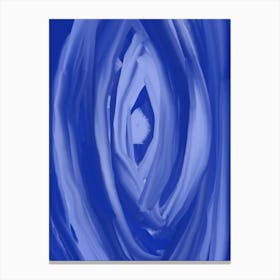 Blueeye34 Canvas Print