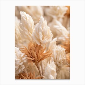 Boho Dried Flowers Celosia 4 Canvas Print