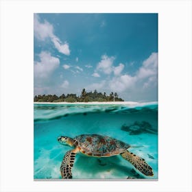 Sea Turtle In The Maldives Canvas Print