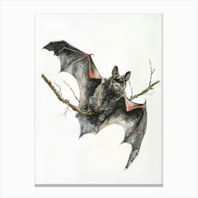 Bat Pastel Watercolour 3 Lienzo