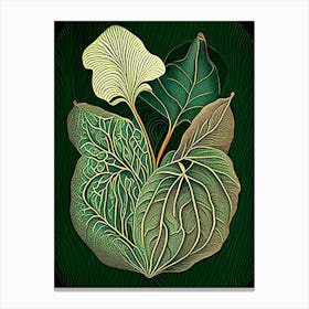 Wild Yam Herb Vintage Botanical Canvas Print