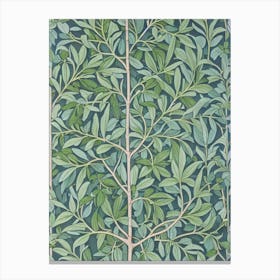 Olive tree Vintage Botanical Canvas Print
