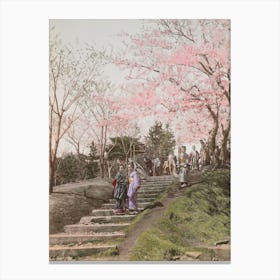 Vintage Japanese Photograph Cherry Blossom Canvas Print