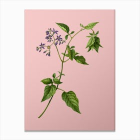 Vintage Bittersweet Botanical on Soft Pink n.0204 Canvas Print