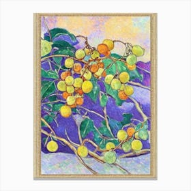Golden Berry 1 Vintage Sketch Fruit Canvas Print