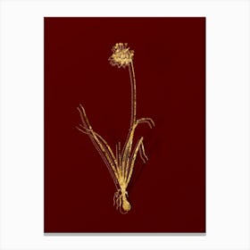 Vintage Nodding Onion Botanical in Gold on Red n.0062 Canvas Print