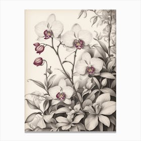 Orchids 7 Canvas Print